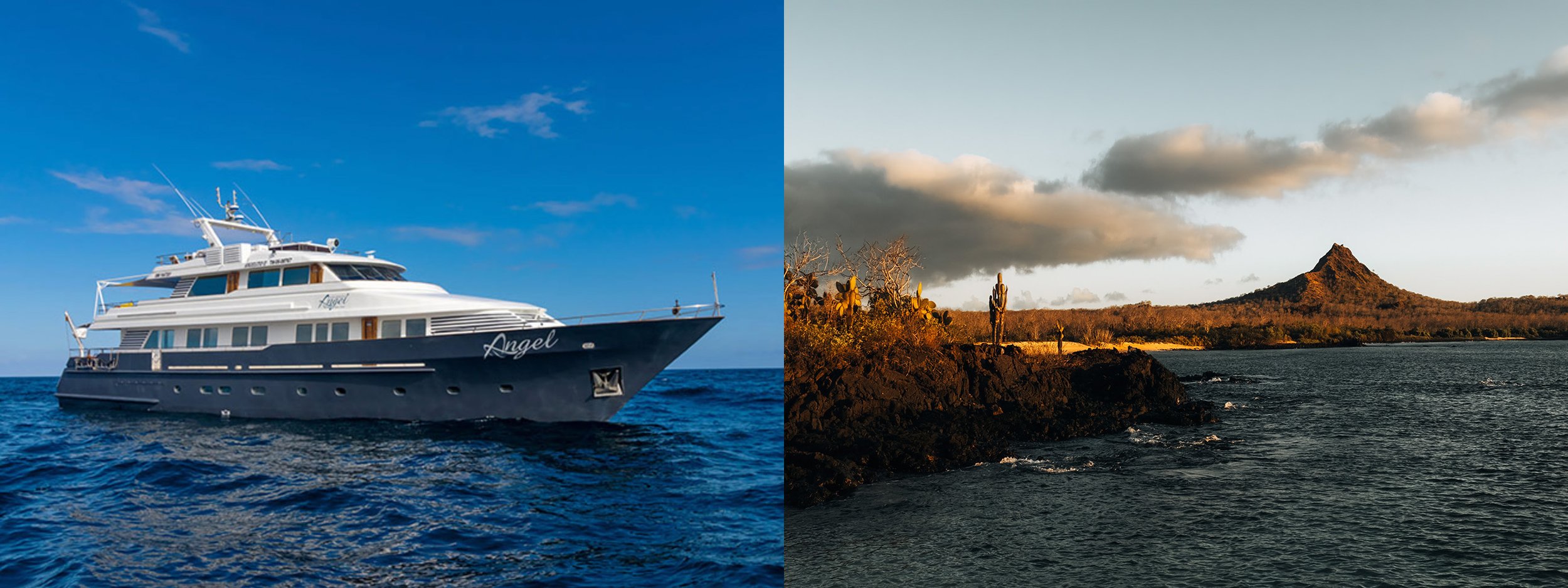 Galapagos 27 — Andy Mumford Photography